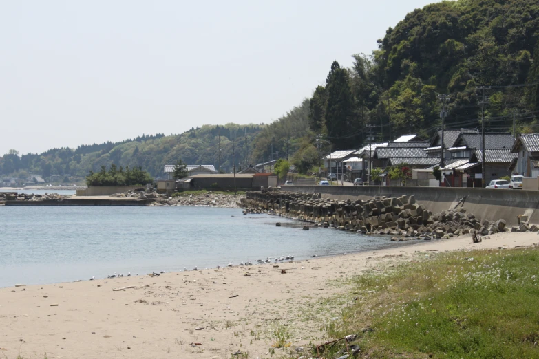 a view of the shoreline near some water