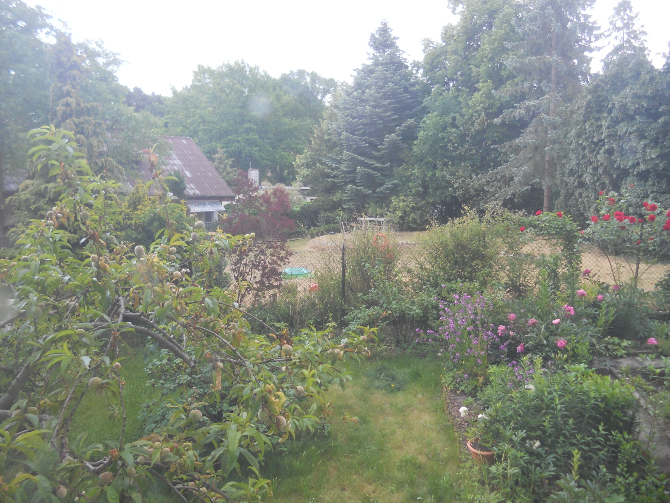 this is a very peaceful, quiet view of an overgrown country house