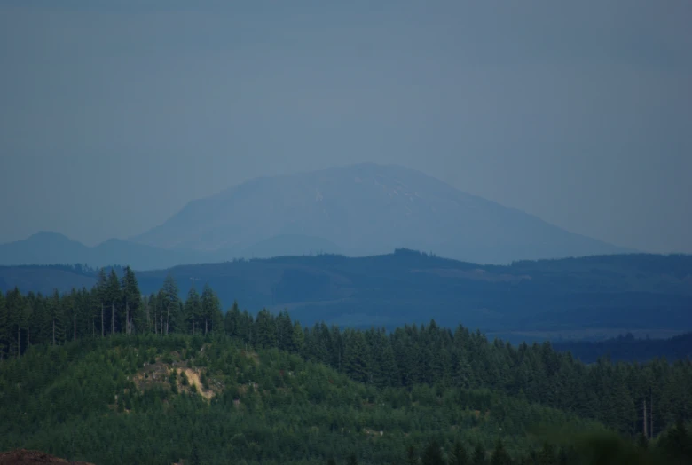 an image of an area with mountains and pine trees