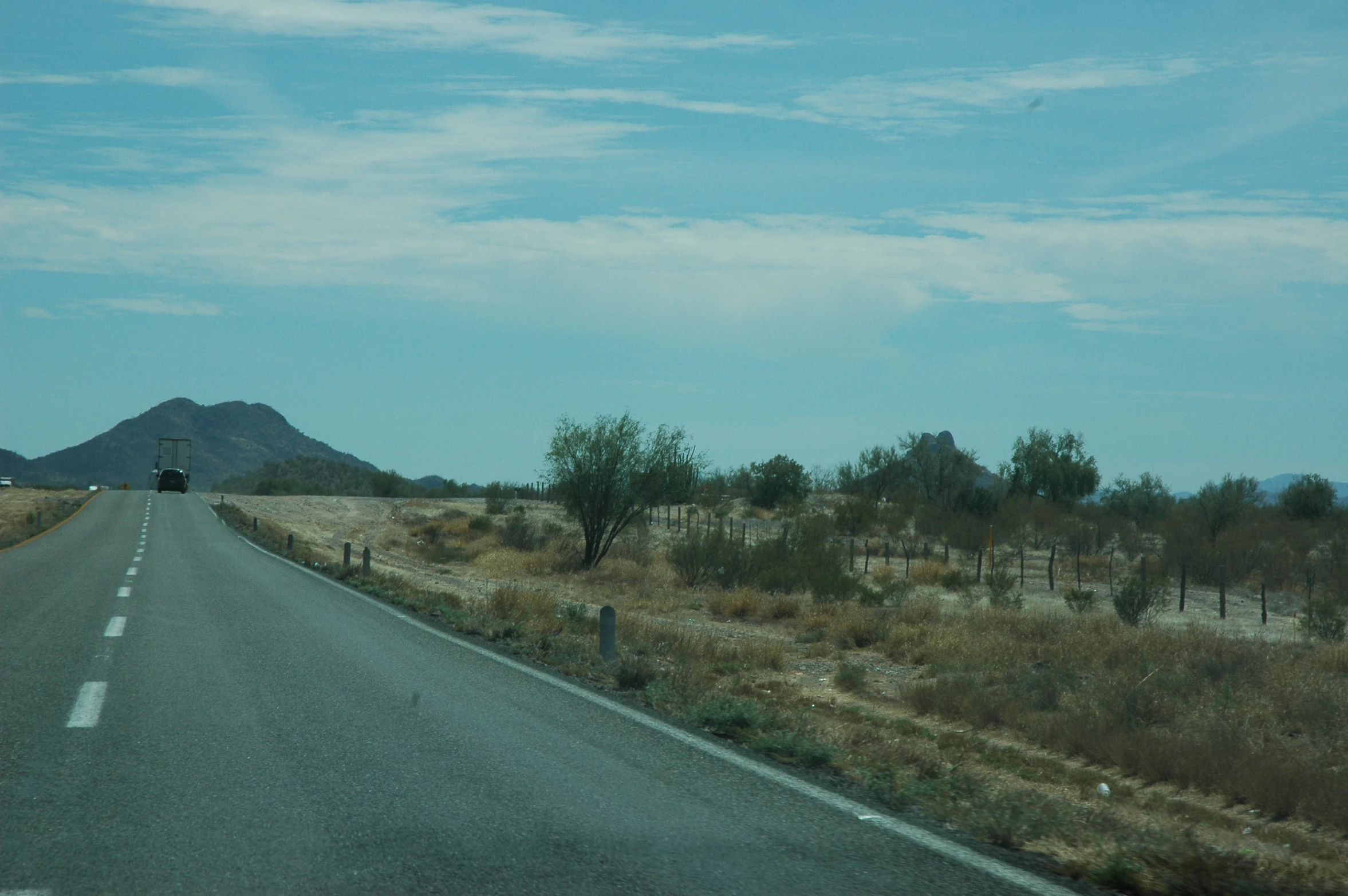 a road with several trees and mountains on the side