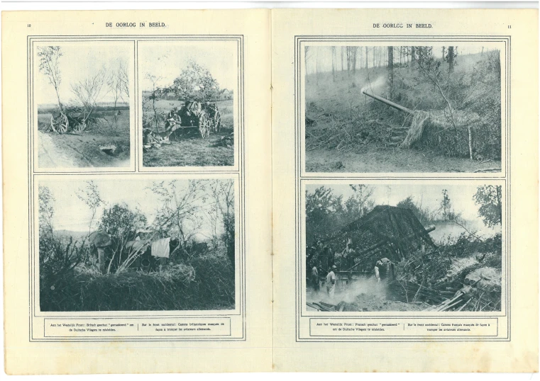 a book opened revealing some images of a tree in the woods