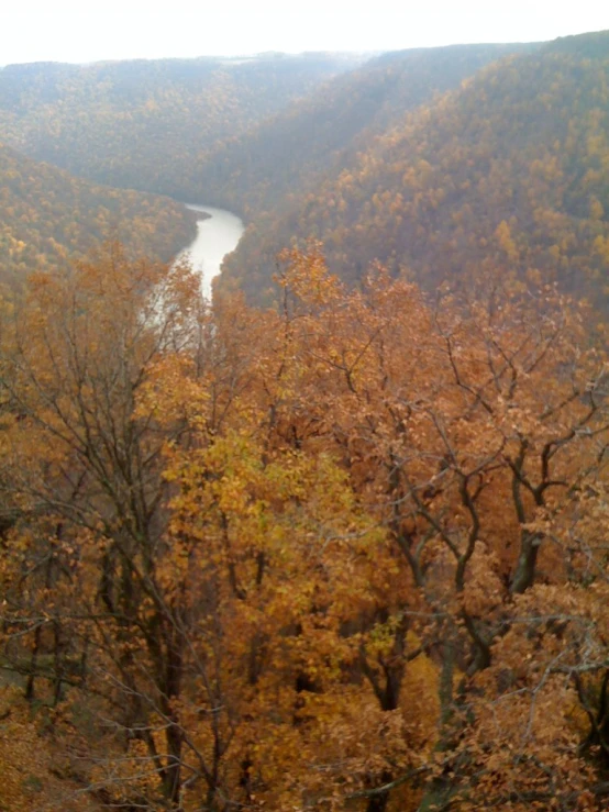 a view from a hill overlooking a river in the forest