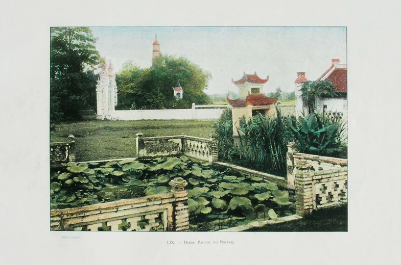 an artist's rendering of a garden with hedges and succulents