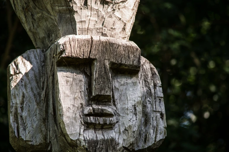 the face is carved into the bark of a tree