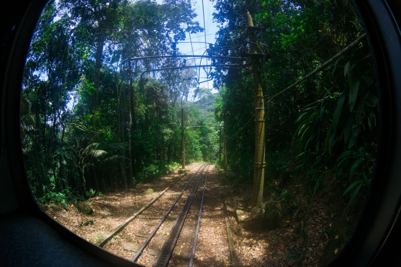 a train track with trees seen through a mirror