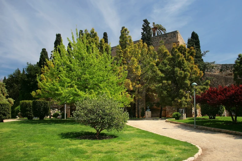 a green lawn with small tree and shrubbery in front of it