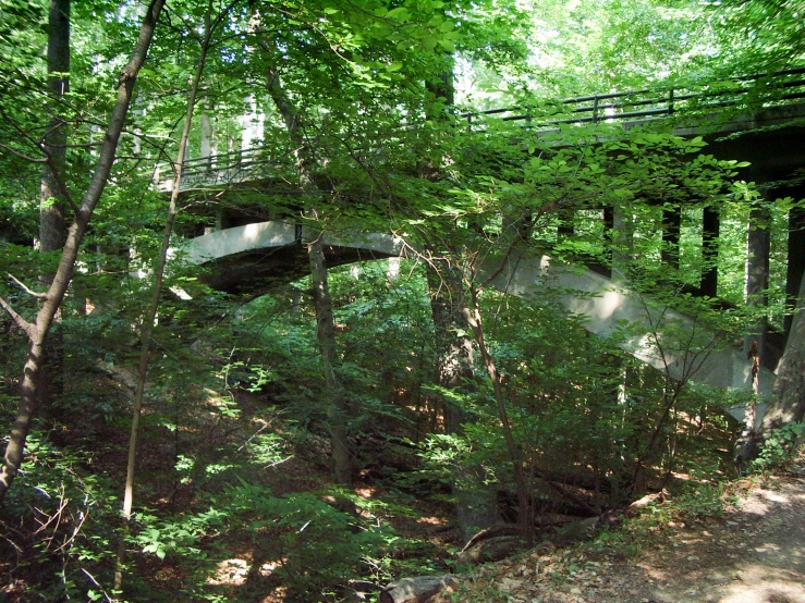 a bridge over some trees near a river