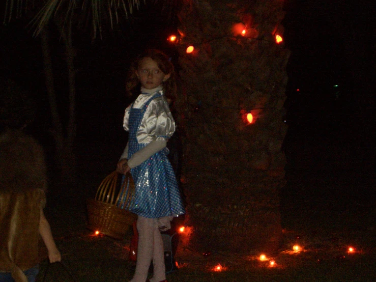 little girl dressed as alice from the movie alice in front of some lighted trees
