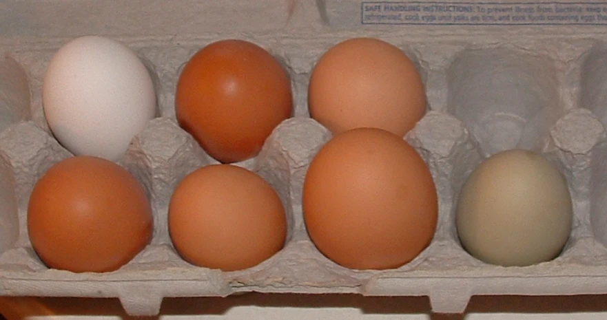 eggs in an egg box are white, brown and beige