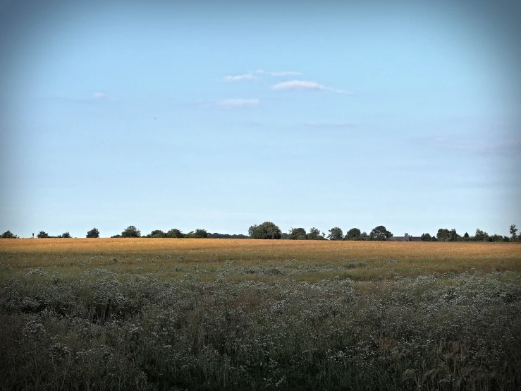 a lonely boat in a wide open field