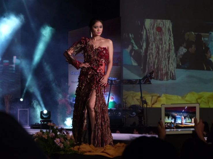 a woman in an ornate dress on a stage