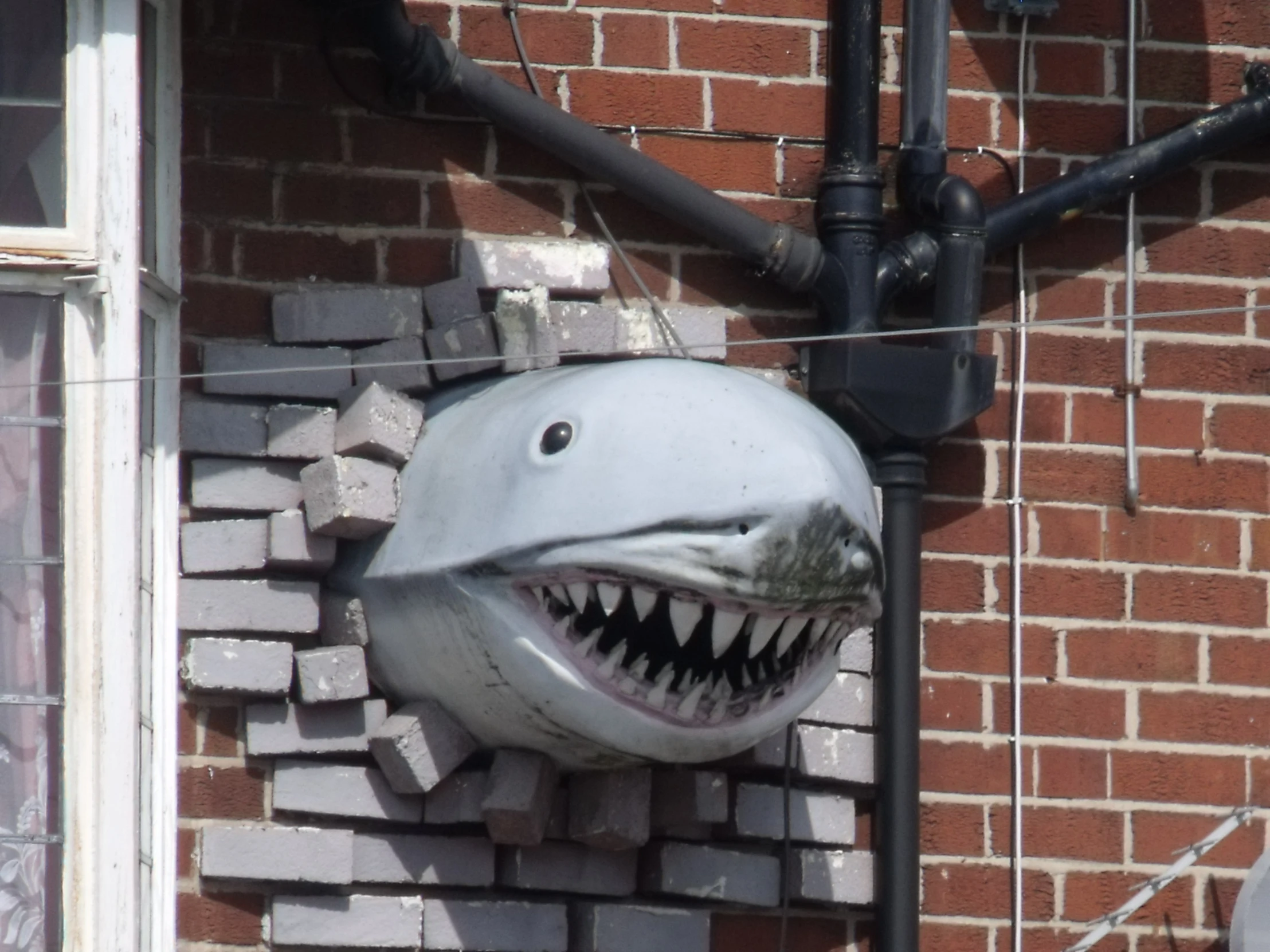 a large shark is placed on the side of a building