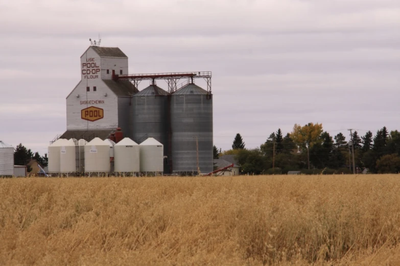 a building sits on the other side of a dry grass field