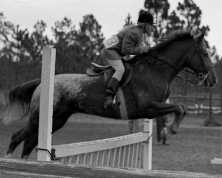a jockey on a horse jumping a fence