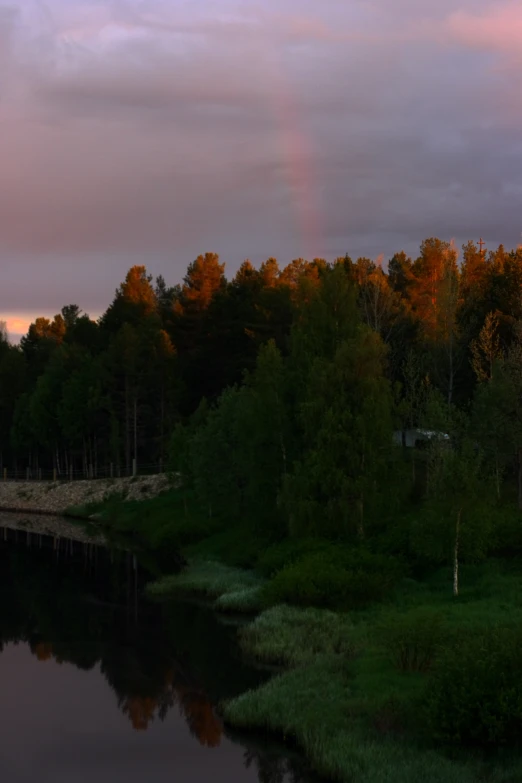 a view of a stream running through the woods with a rainbow in the distance