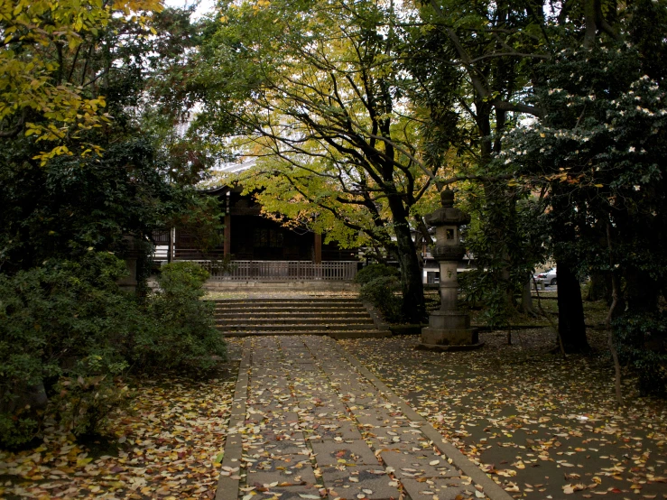 a pathway next to a large group of trees