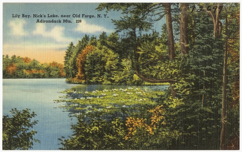 a postcard is showing a view of a body of water