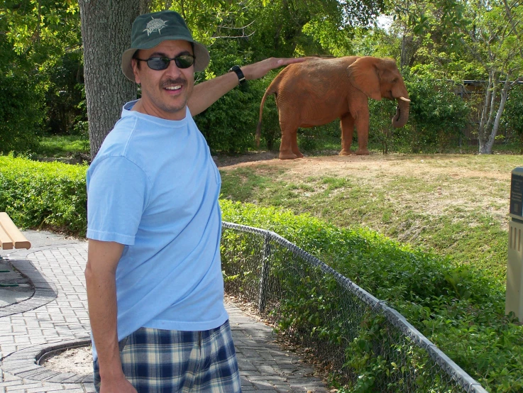 a man with sunglasses is petting a large elephant