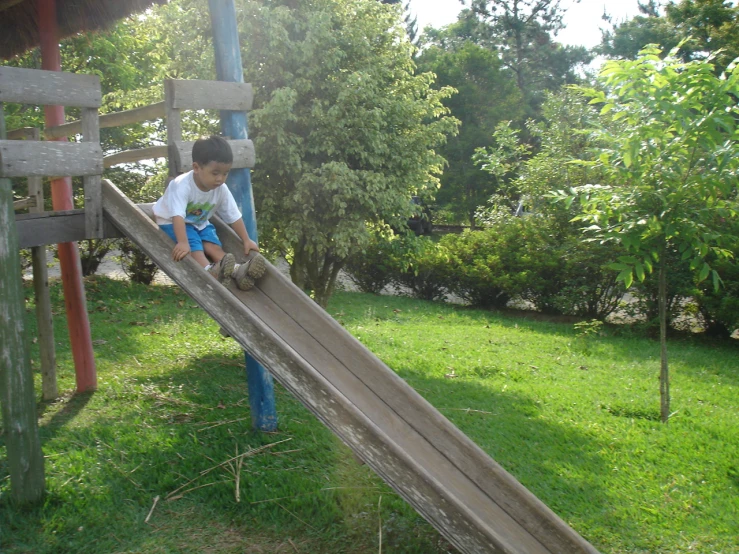 a  on a wooden slide on the grass