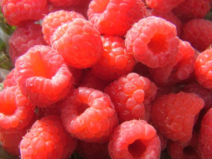 a closeup po of raspberries