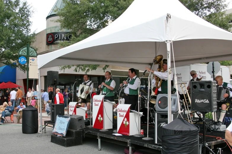 a group of people are playing instruments on the stage