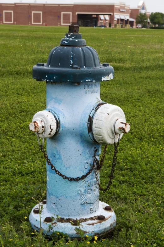 an old fire hydrant with rust on it in a grassy field