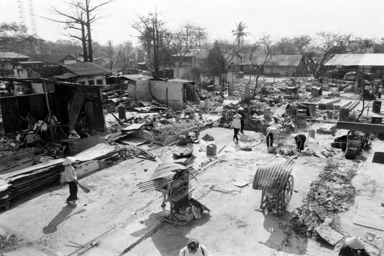 people standing and sitting in a yard full of trees