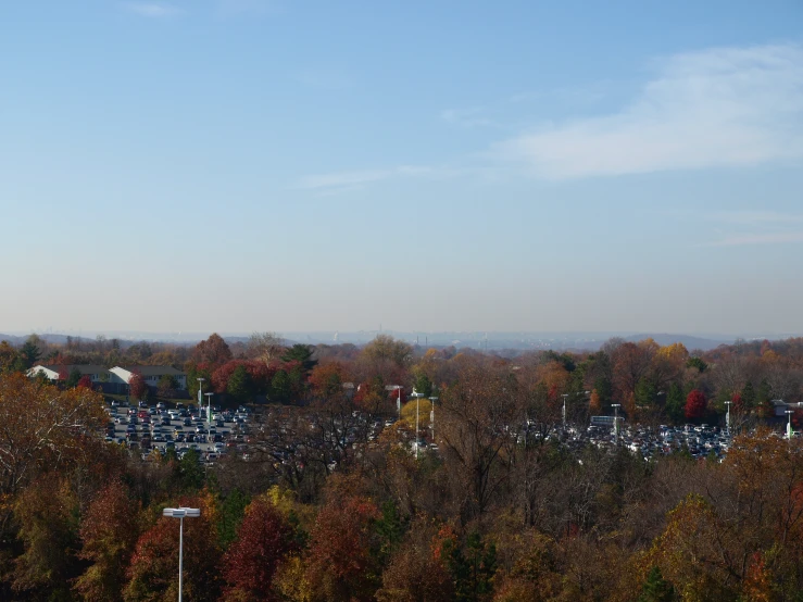 a forest filled with lots of trees and a parking lot