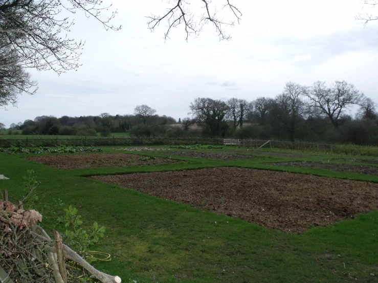 view of the garden, looking across the field