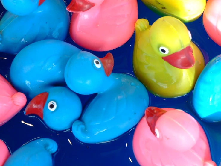 many plastic colorful ducks are in water