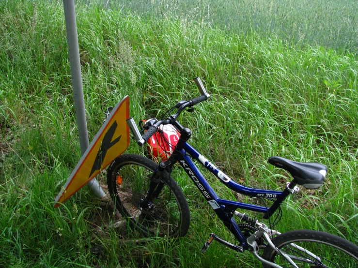 a bike that is in some grass