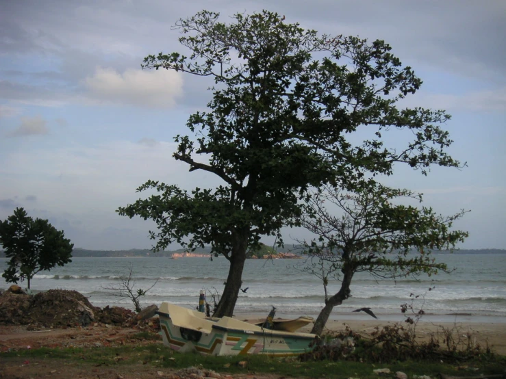 an abandoned boat sits in the grass by a tree