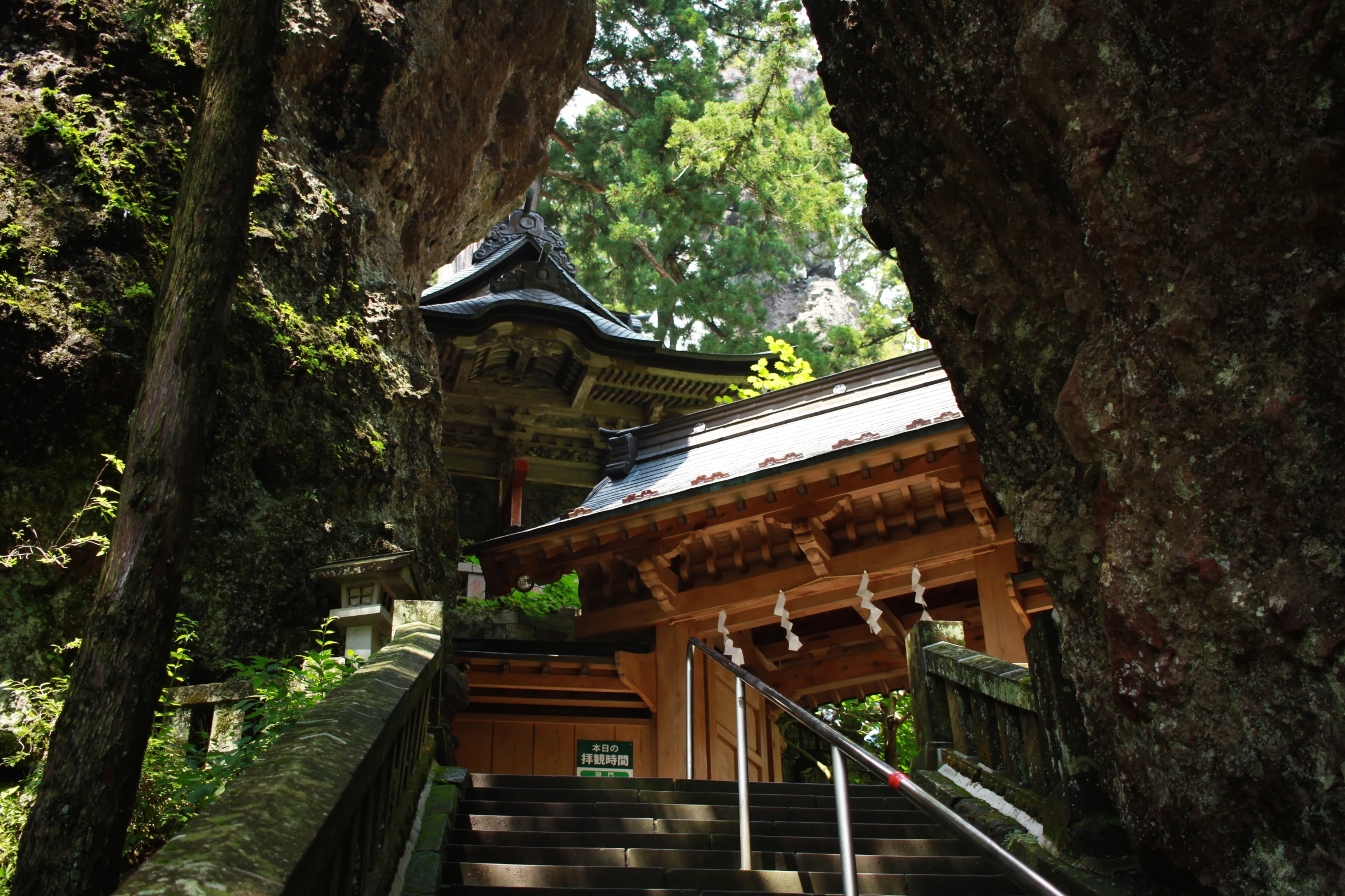 this is an image of a pagoda in the woods