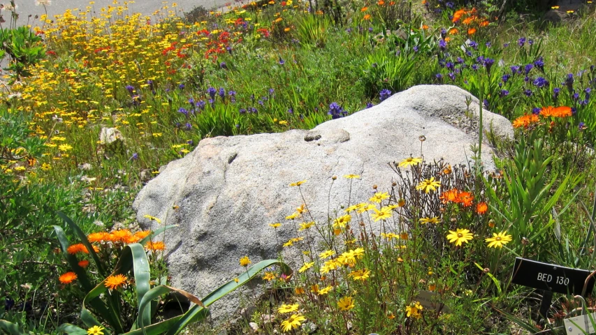 flowers surrounding large rock on the side of the road