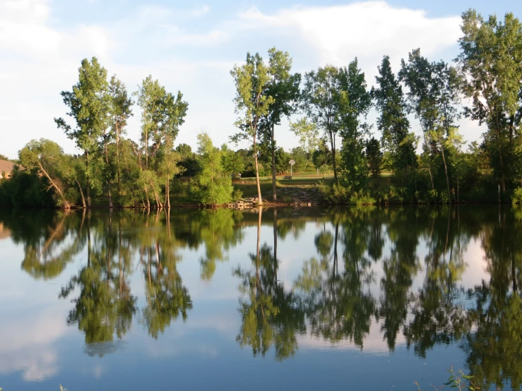 a view of water in a small lake near a park