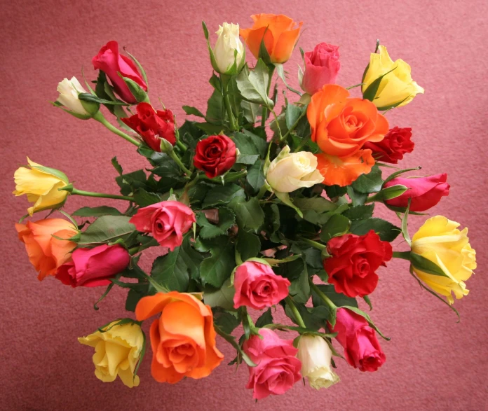 colorful bouquet of roses displayed on red surface