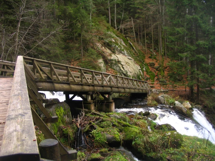 a bridge over a rushing river near forest