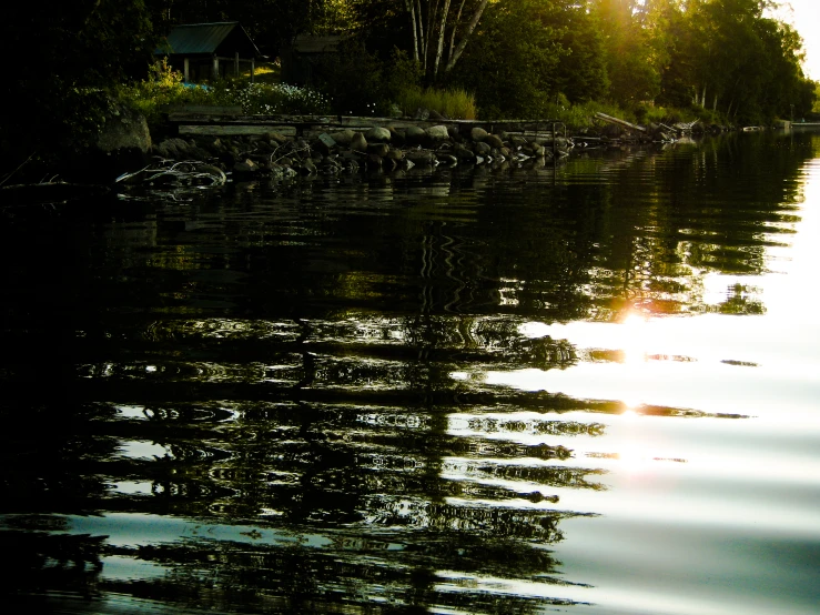 a pond that has birds sitting on the rocks