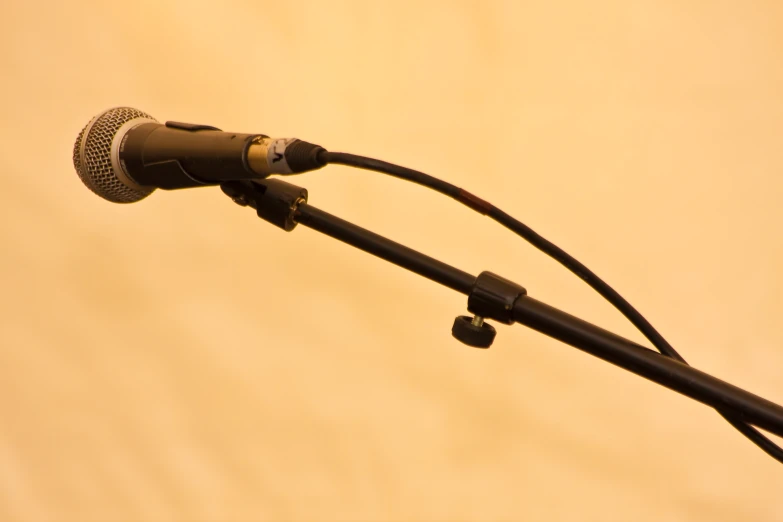 a microphone being held by two hands and an antenna with a cord