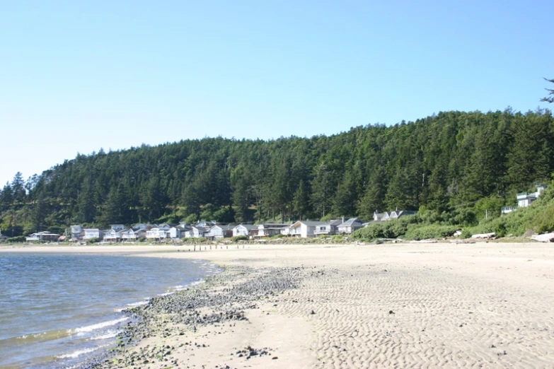 houses stand near the edge of a wooded beach