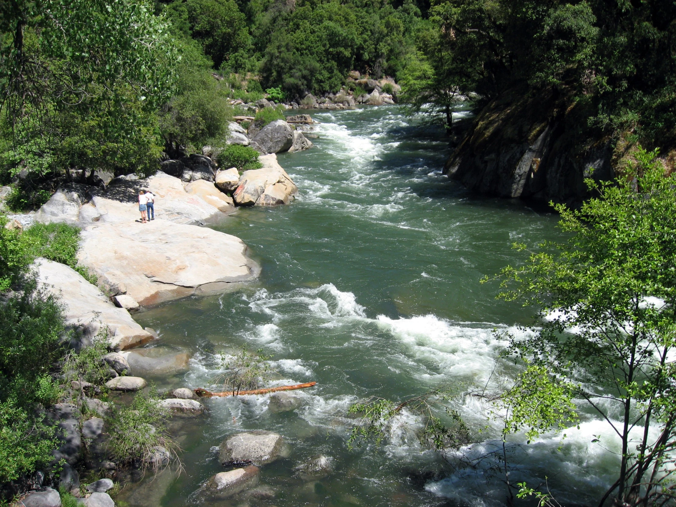 a man standing on the bank of a river