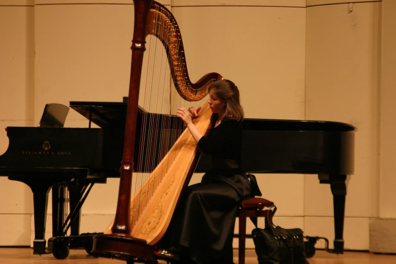 a woman playing a harp while sitting down