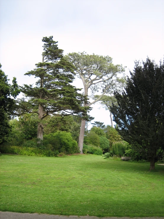 a park with trees and lawn in the daytime