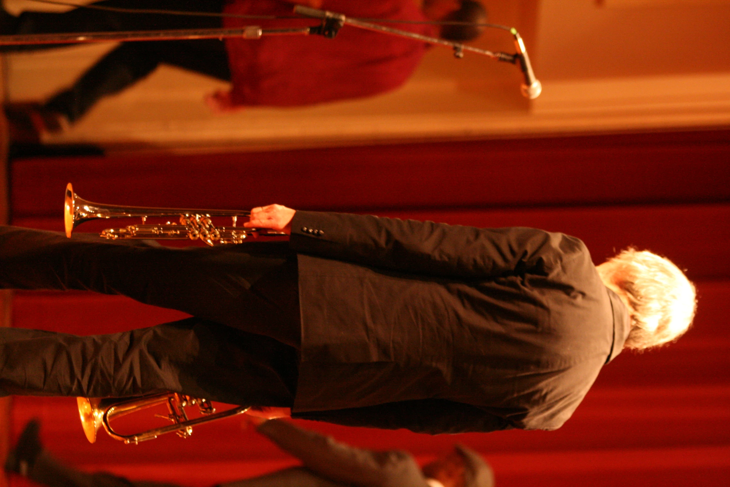 man in black suit with musical instrument standing in front of a microphone