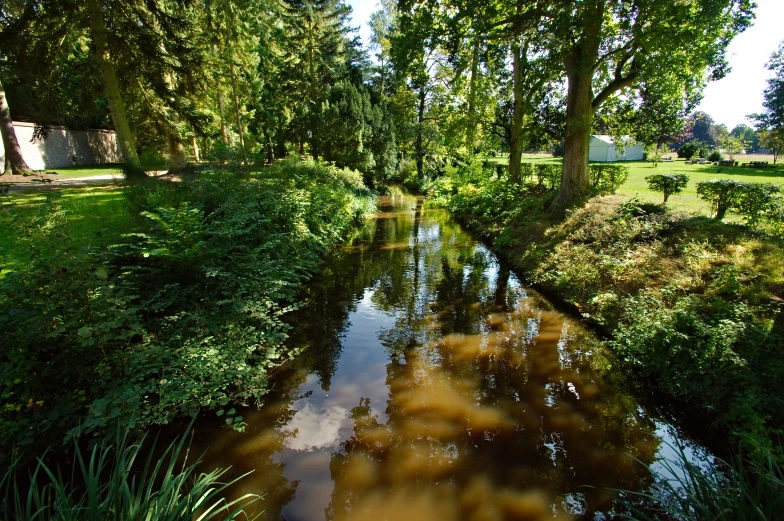 a tree lined river in a grassy area