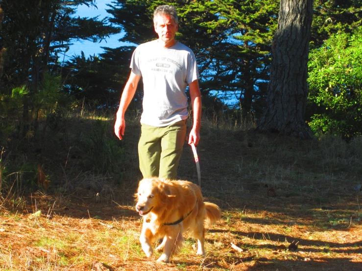 a man and a dog stand in a grassy area