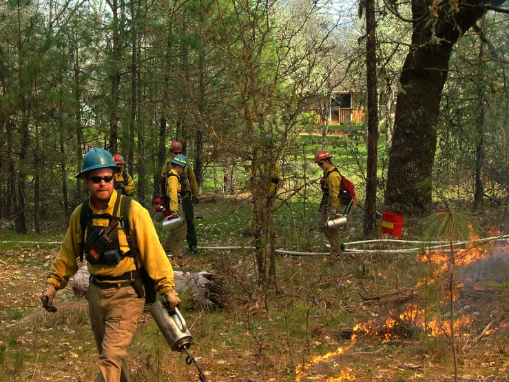 three firefighters are on the ground near a forest
