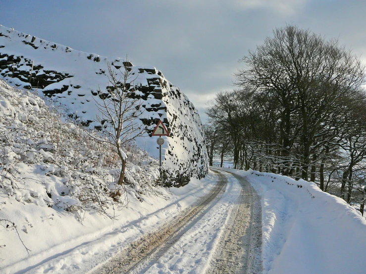 snow on the side of a road with trees