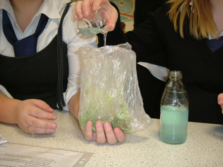 a close up of hands on a table holding a plastic bag