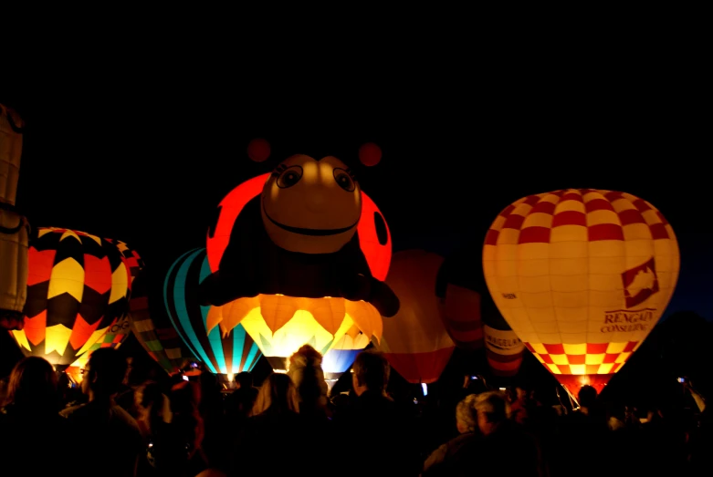 a group of people watching and looking at the colorful air balloons